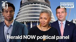 Whats Wrong With Being A Stripper? Marama Davidson On Candidate Non-Selection Ryan Bridge Today