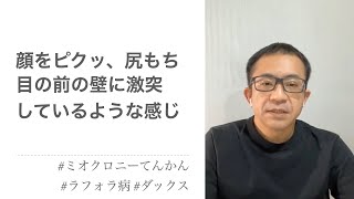 ミオクロニーてんかんを疑うハイシニア犬。一瞬うなずく様な頭部をククっとさせる。突然目の前に壁が現れて激突する様な感じ。ビクッと顔を背け退いて尻もちを着く。歩行もままならない感じ。