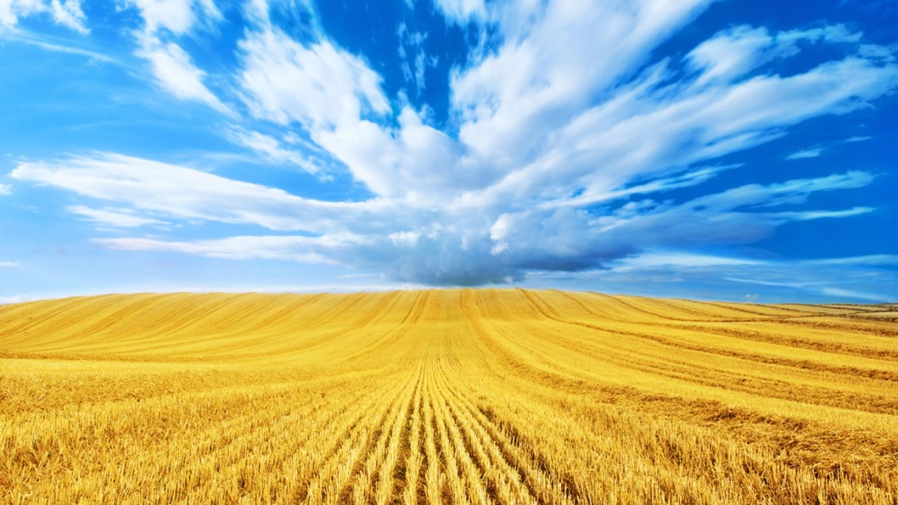 Днем, картинки украине