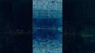 The Beauty of under water Nature _part 122 ,#shorts #satisfying