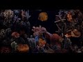 10 hours tropical fish tank full   audio 1080slowtv