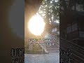 超強力注意⚠️斎藤一人さん、ゲッターズ飯田さん、江原啓之さん、島田秀平さんが大絶賛する神社⛩️#shorts #パワースポット #遠隔参拝 #斎藤一人 #ゲッターズ飯田 #奈良県