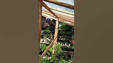 Thumbnail of Pemasangan plastik ultraviolet #berkebun #berkebundiataprumah #strawberry #bidaraarab #shorts