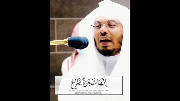 أَذَٰلِكَ خَيْرٌ نُّزُلًا أَمْ شَجَرَةُ الزَّقُّومِ ~ تلاوة باكية بالأداء الشهير للشيخ ياسر الدوسري