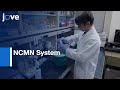 NCMN System for Membrane Protein-Protein Interaction Analysis | Protocol Preview