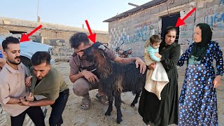 Selling baby goats to pay off debt! Purchasing winter provisions and striving to save Zeinab's life.