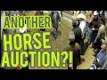 We went to the horse auction again see new rescue horses and updates on last months rescues