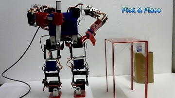 Dynamically Balanced Biped Robot