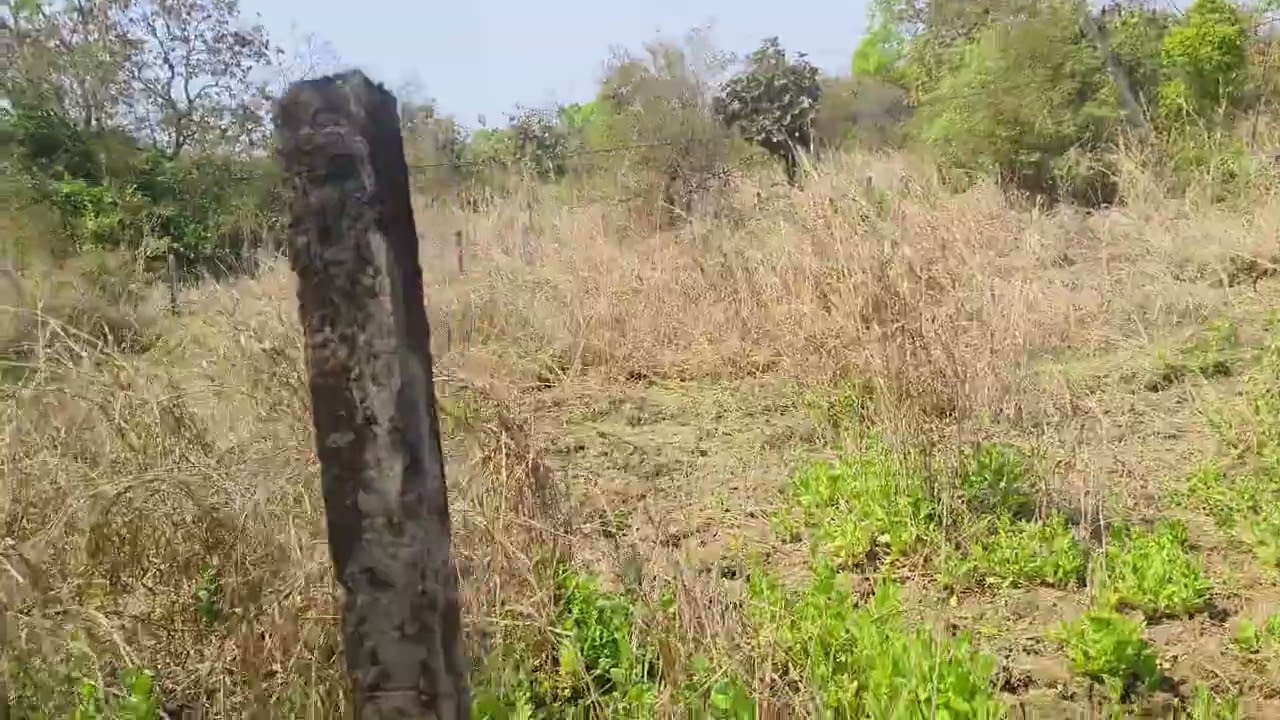 3 ekar 10 guntha plot mai have rod 2 km distance tar rod tuch plot jaget vihir ahe more.92262242222