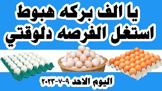 اسعار البيض اليوم سعر البيض اليوم الاحد ٩-٧-٢٠٢٣ جملة وقطاعي في المحلات في مصر