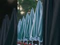 Umbrellas | The Masters #Shorts