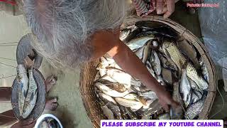 কতো টাকার মাছ বিক্রি করলাম || Pakutia fishing bd