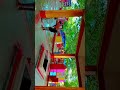 #pachrukha Devi#gaighat#ka#video #foryou #trending #video #pleasesubscribe #reality