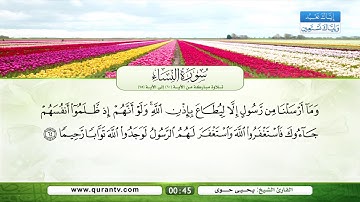 سورة النساء | تلاوة مباركة من الآية 60 إلى الآية 65 | بصوت القارئ الشيخ يحي حوى