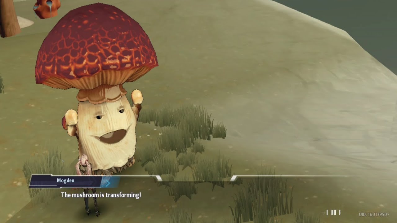 all mogden puzzle location banges island tower of fantasy