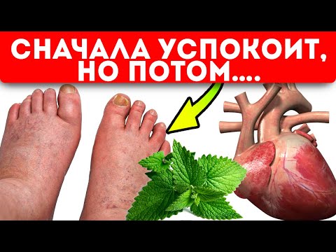 Видео: Можно ли есть цветки конской мяты?