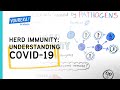 Herd immunity understanding covid19