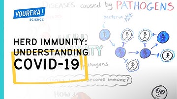 Herd Immunity: Understanding COVID-19