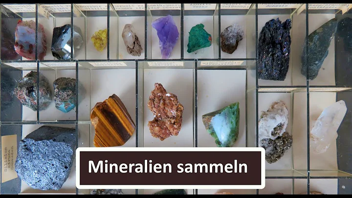 Mineralien sammeln: Mineraliensammlu...  mit Miner...