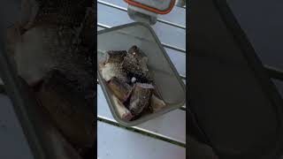 Рыба, которую можно есть сырой. Сугудай. Рецепт приготовления хариуса за 5 минут