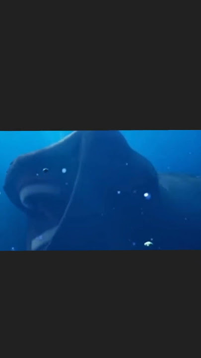 the bloop vs el Gran maja