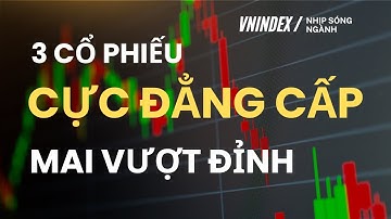 TOP 3 CỔ PHIẾU GIÚP ANH EM VƯỢT MỌI DÔNG BÃO !!