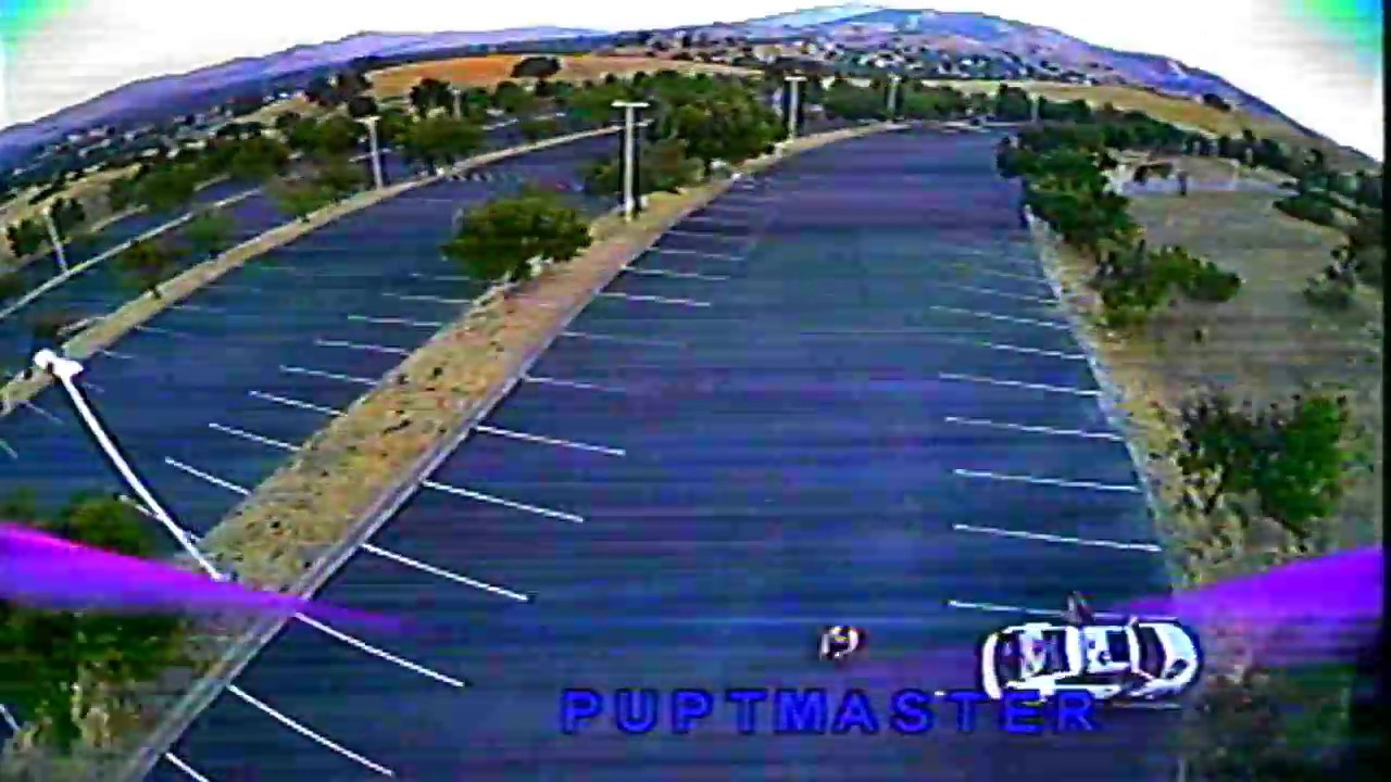 Purple Cyclone Dal Props Sunset Raceflight Rip