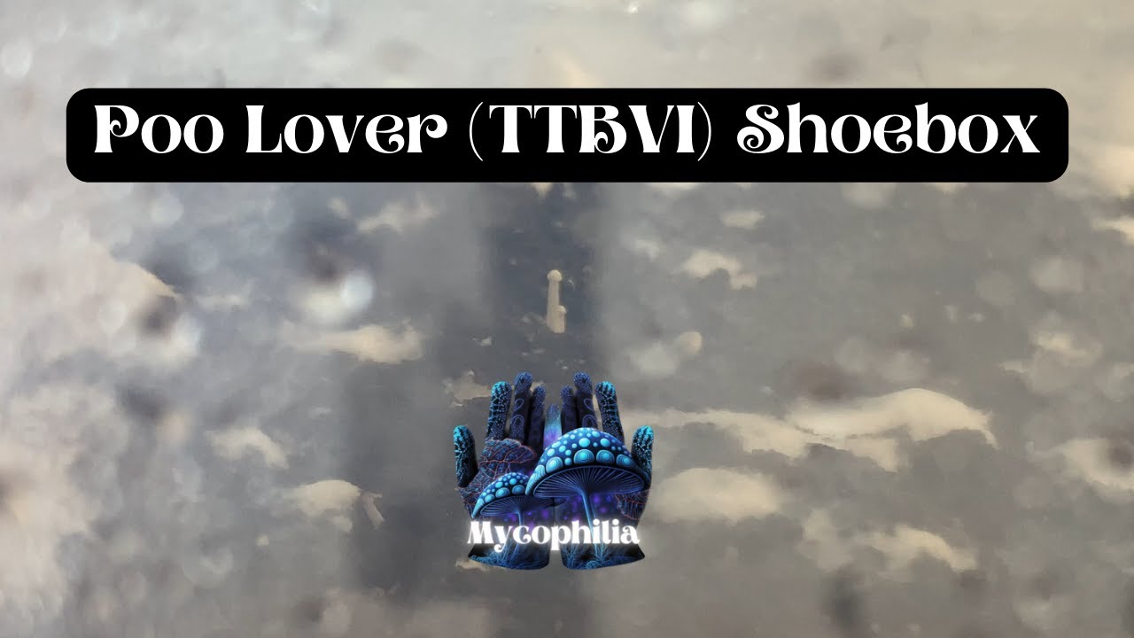 PooLover (TTBVI) Обувная коробка! Немодифицированная, без палатки, пассивный FAE