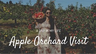 VLOG| Apple Picking Experience | Testing WOW Matte Finish Sunscreen Under The Sun| Sushmita'sDiaries