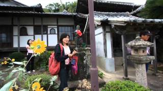 curatorsim의 박물관답사 - 일본2탄 20090921 대마도사진편집