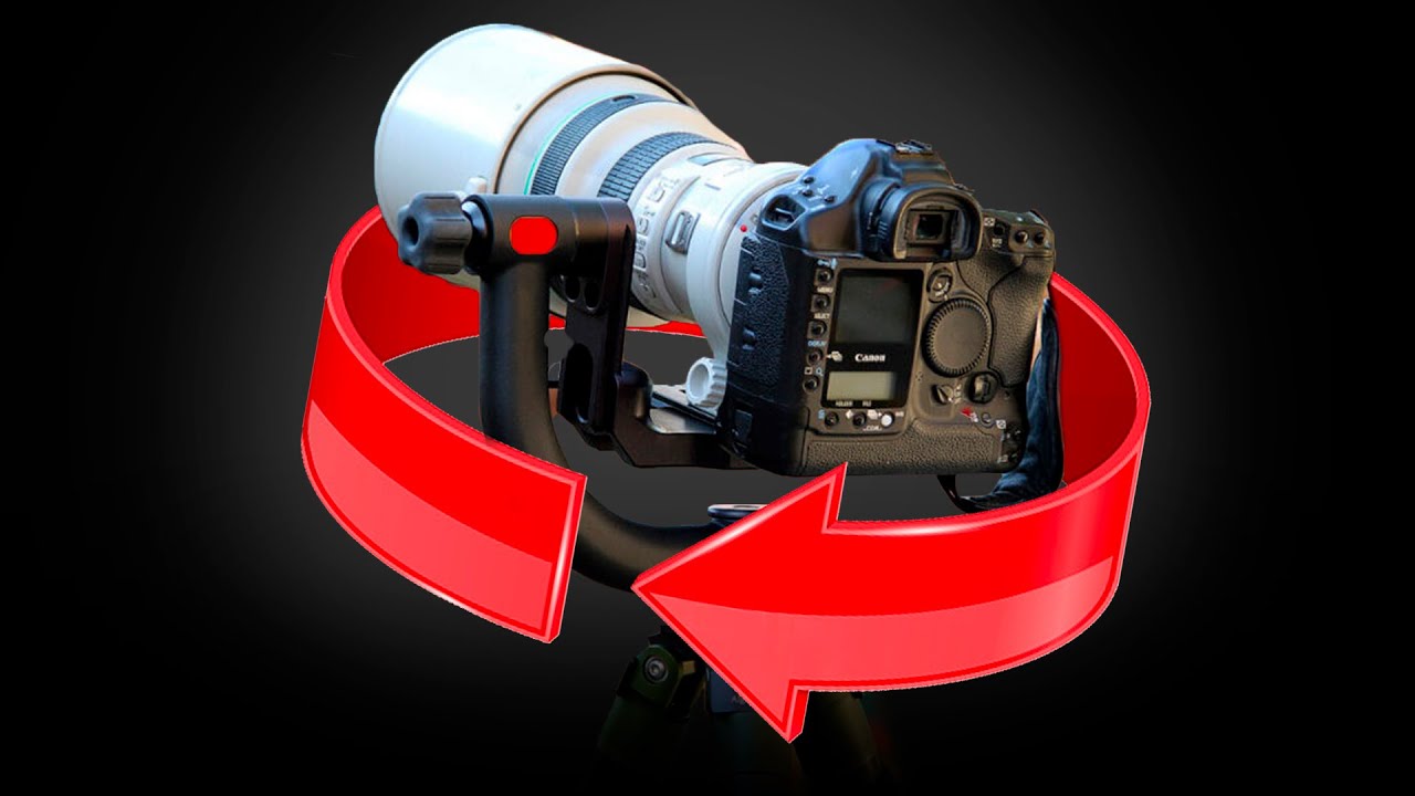 Cette tête pendulaire est géniale pour la photo animalière (Jobu Design ...