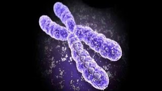 Genes DO NOT Control Your Health!  YOU DO!!!