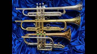 3 Vintage Horns: Conn Vocabell, Olds Mendez & Olds Recording
Items for sale: https://www.trumpetherald.com/marketplace.php?own=15921
A Conn Vocabell with its octagonal valve block, shielded water-keys, and art deco pinky hook; what a great trumpet! Not intimidated, Olds Mendez is an equally fine player, and an Olds Recording cornet rounds out the trio. Great players - one and all. :)
Played first with a Mt. Vernon 7C (with drill opened to 25), a Curry VC (Vintage Cornet) piece with GR Adapter for the trumpets, and last played with an ACB 3DS. Enjoy! :)
Conn w/ Mt. V: 2:59
Mendez w/ Mt. V: 4:51
Recording w/ Mt. V: 7:45
Conn w/ Curry VC: 9:38
Mendez w/ Curry VC: 11:01
Recording w/ Curry VC: 12:02
Conn w/ ACB 3DS: 14:15
Mendez w/ ACB3DS: 16:12
Recording w/ ACB3DS: 17:22 3 Vintage Horns: Conn Vocabell, Olds Mendez & Olds Recording