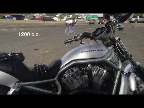 Video: ¿Cuántos cc tiene una Harley V Rod?