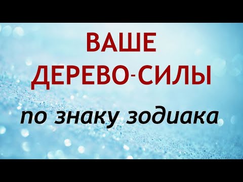 Ваше ДЕРЕВО-СИЛЫ по знаку Зодиака.