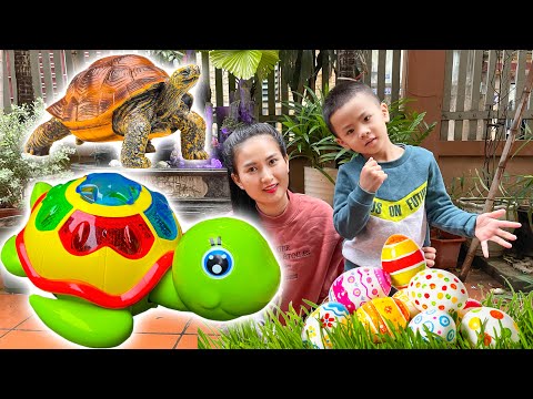 Video Changcady review đồ chơi con rùa đẻ trứng - Part 9 - youtube