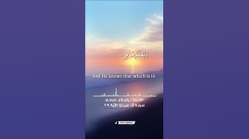 سورة آل عمران الآية ٢٩ تلاوة القارئ إسلام صبحي