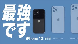 iPhone12 Pro MaxよりiPhone12 ミニの方が圧倒的に魅力的な理由