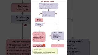Adult bradycardia management algorithm