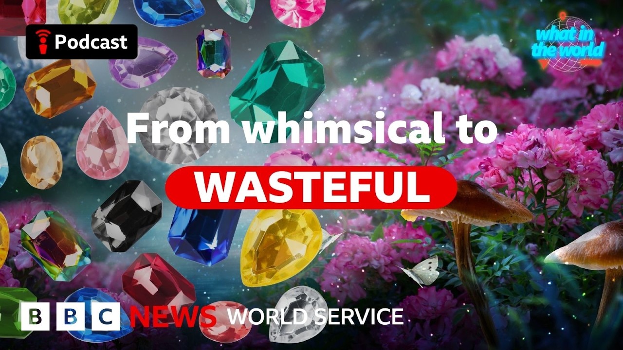 Have rhinestones ruined whimsymaxxing? – What in the Wo… — Transcript