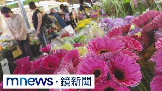 台花卉市場放眼全球年產值176億、外銷52.5億｜ #鏡新聞 