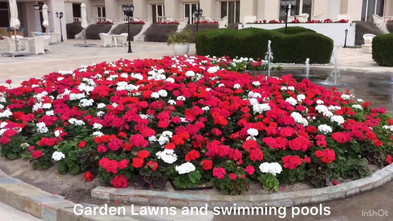 Birthday Relaxation at Regency Kuwait