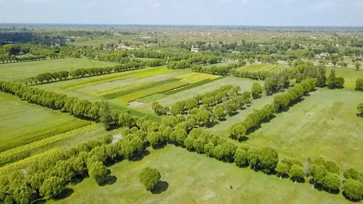 NW China's Mu Us Desert turns green - DayDayNews