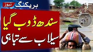 Hyderabad Underwater After Heavy Rain | Sindh Monsoon Crisis Deepens | SAMAA TV