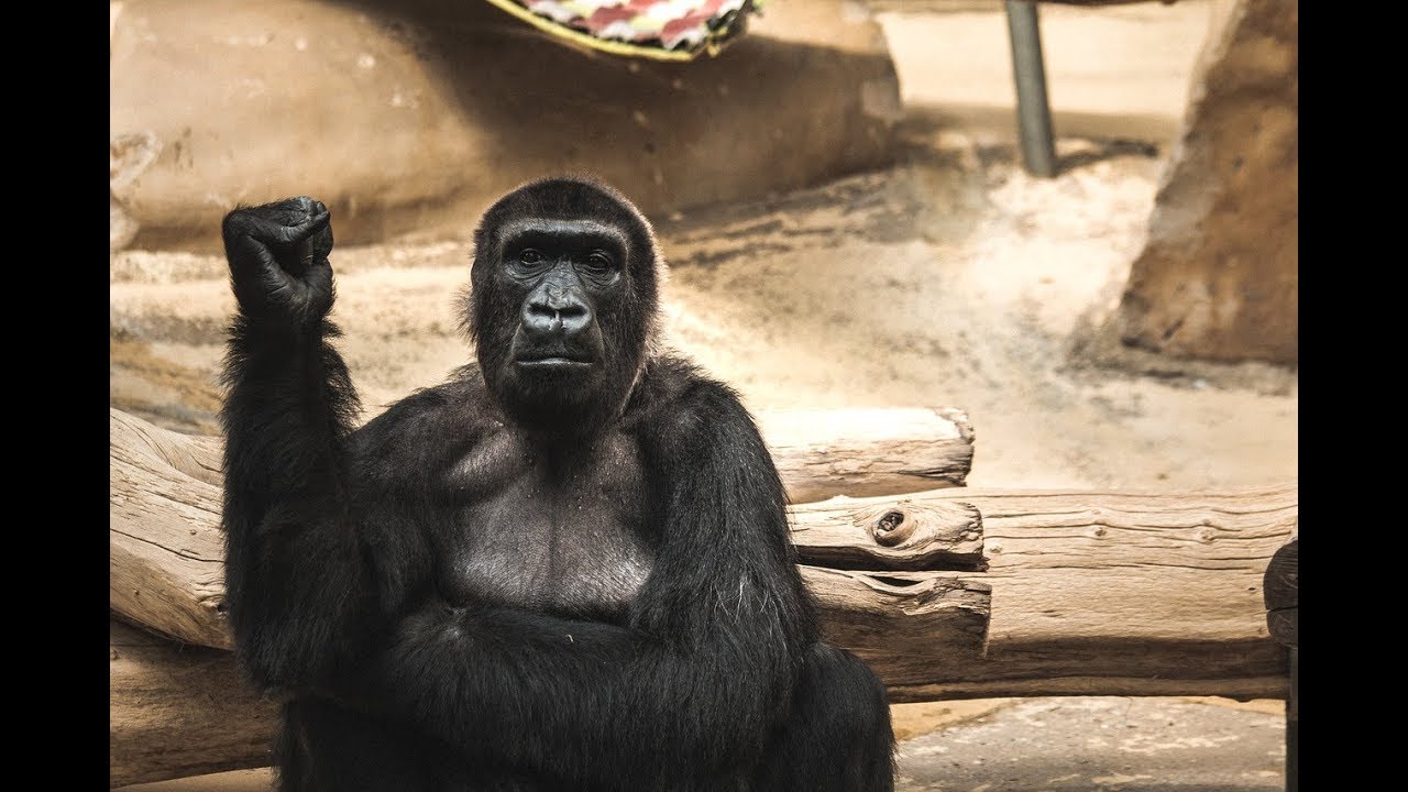 Warum kritisiert und korrigiert mein Partner mich dauernd? Die 5 häufigsten Gründe