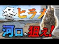 【冬ヒラメ2023】釣りが厳しい時期ですが寒平目を釣ってみたい！