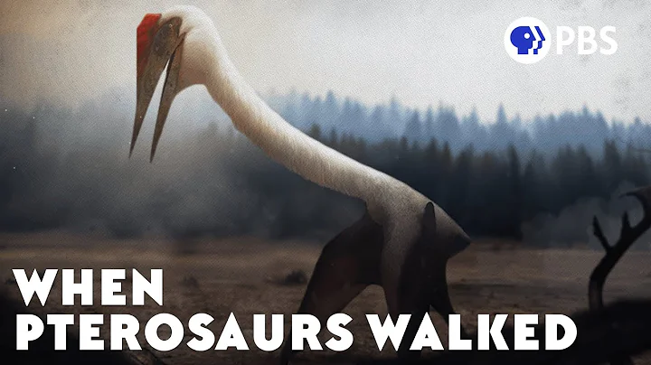 When Pterosaurs Walked - DayDayNews