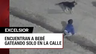 Bebé se escapa de su casa y gatea por la calle en compañía de su perro