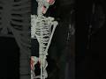 bhoot bangla #sauravjoshivlogs #vlog #souravjoshifunny #funny #comedy #ghost #bhoot