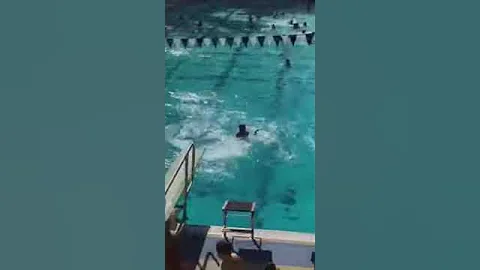 Kid tried to do a flip into a dive